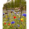 Stylowa Podpora do roślin krzewów roślin PERGOLA średnica 40cm wysokość 80cm komplet 2sztuki